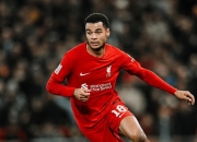 华体会网页版-利物浦攻击火力全开，连续破门