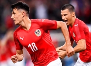 华体会直播-关于奥地利不敌波斯尼亚，提前结束欧洲杯之旅的信息