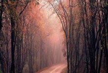 华体会亚洲官网-巴黎主场大胜莱茵兹，继续稳坐法甲榜首，巴黎vs莱比锡预测