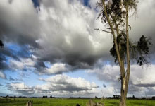 华体会官方-葡萄牙队意外失利，晋级前景阴云密布：危机四伏的足球梦想