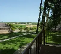 关于阿尔希拉尔防线稳固，力拼鹿岛鹿角全力拿分的信息