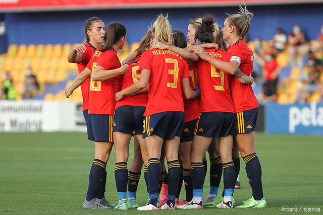 瑞士队勇猛厮杀，全力备战下一场比赛的简单介绍